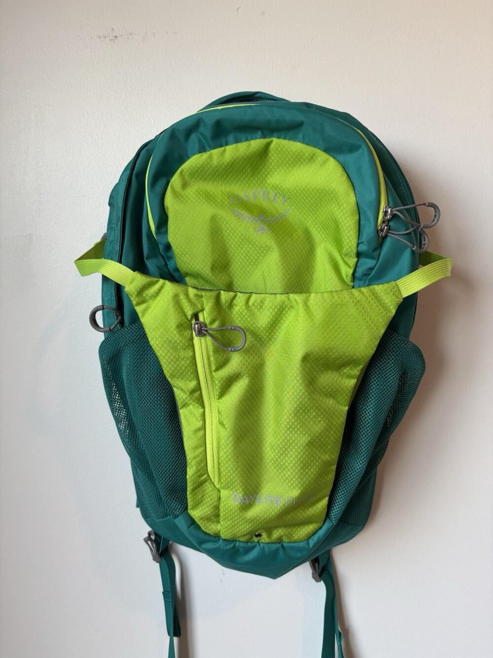 Osprey Daylight Plus Green And Blue Backpack